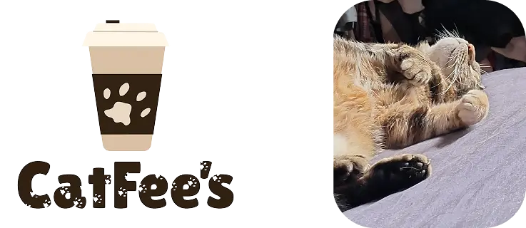 logo Catfee's